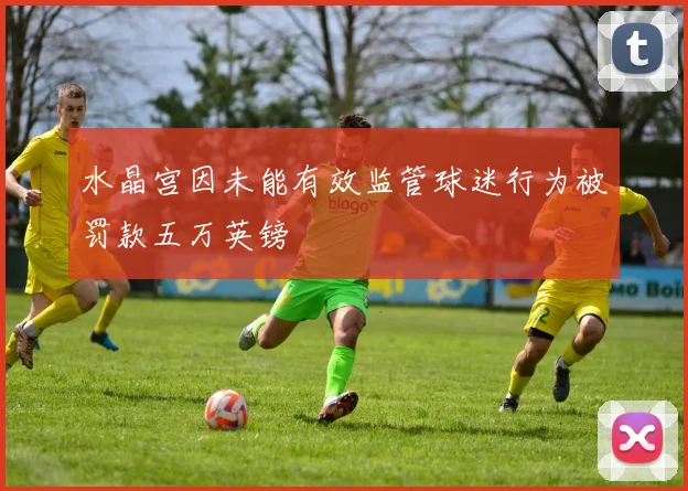 水晶宫因未能有效监管球迷行为被罚款五万英镑