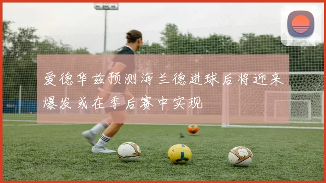 爱德华兹预测海兰德进球后将迎来爆发或在季后赛中实现