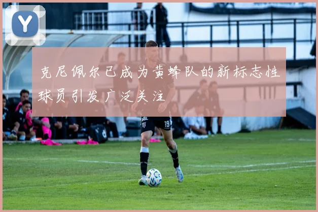 克尼佩尔已成为黄蜂队的新标志性球员引发广泛关注